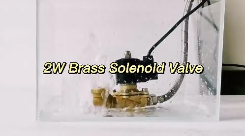 2W Normally Closed 2/2 Way Brass Solenoid Valve for Water